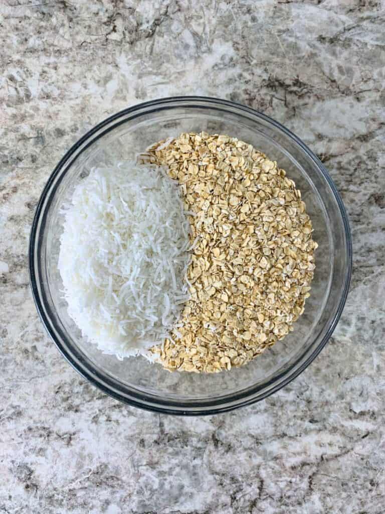 a bowl containing shredded coconut and oatmeal