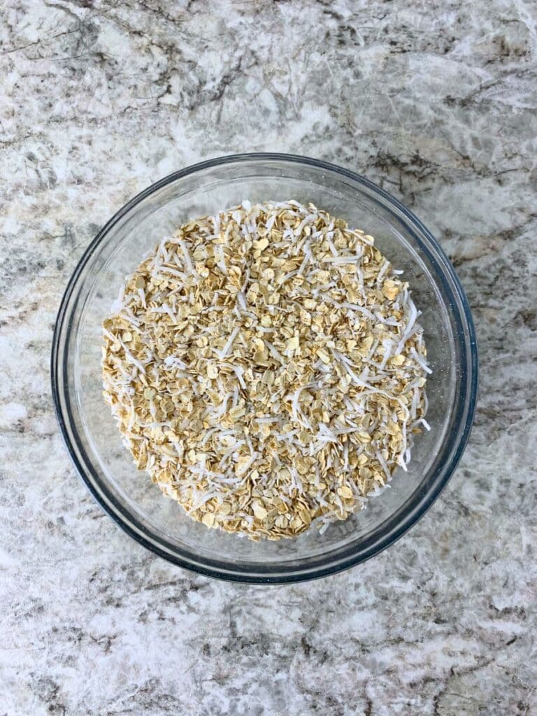 a bowl containing shredded coconut and oatmeal mixed together