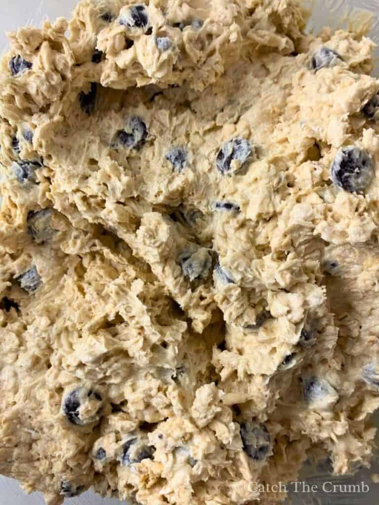 oatmeal and chocolate chips mixed into the mixture