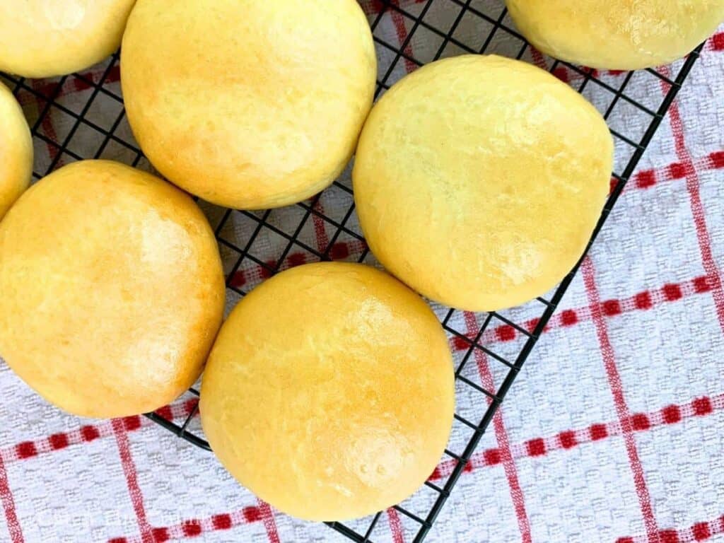 sourdough discard hamburger buns