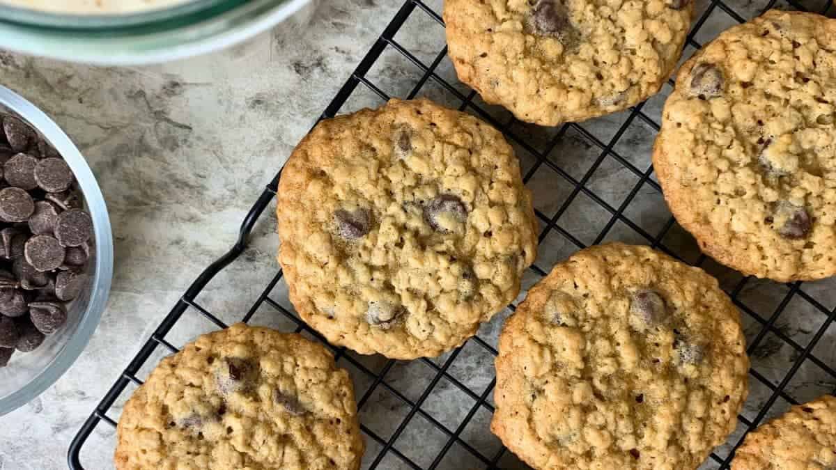 Sourdough Discard Oatmeal Chocolate Chip Cookies
