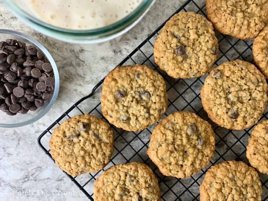 sourdough discard oatmeal chocolate chip cookies cooling on a wire rack