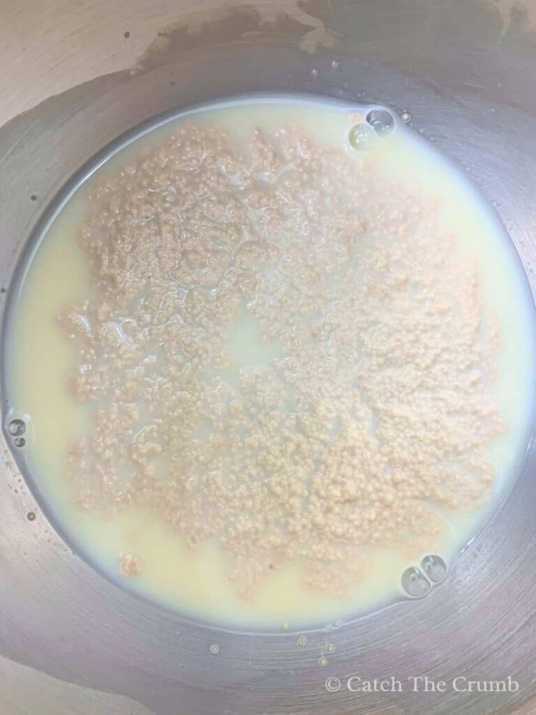 warm milk, warm water, honey, and yeast frothing and bubbling