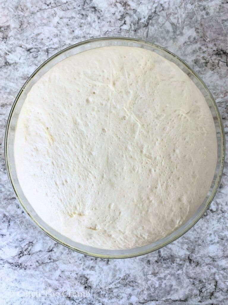 a dough ball doubled in size