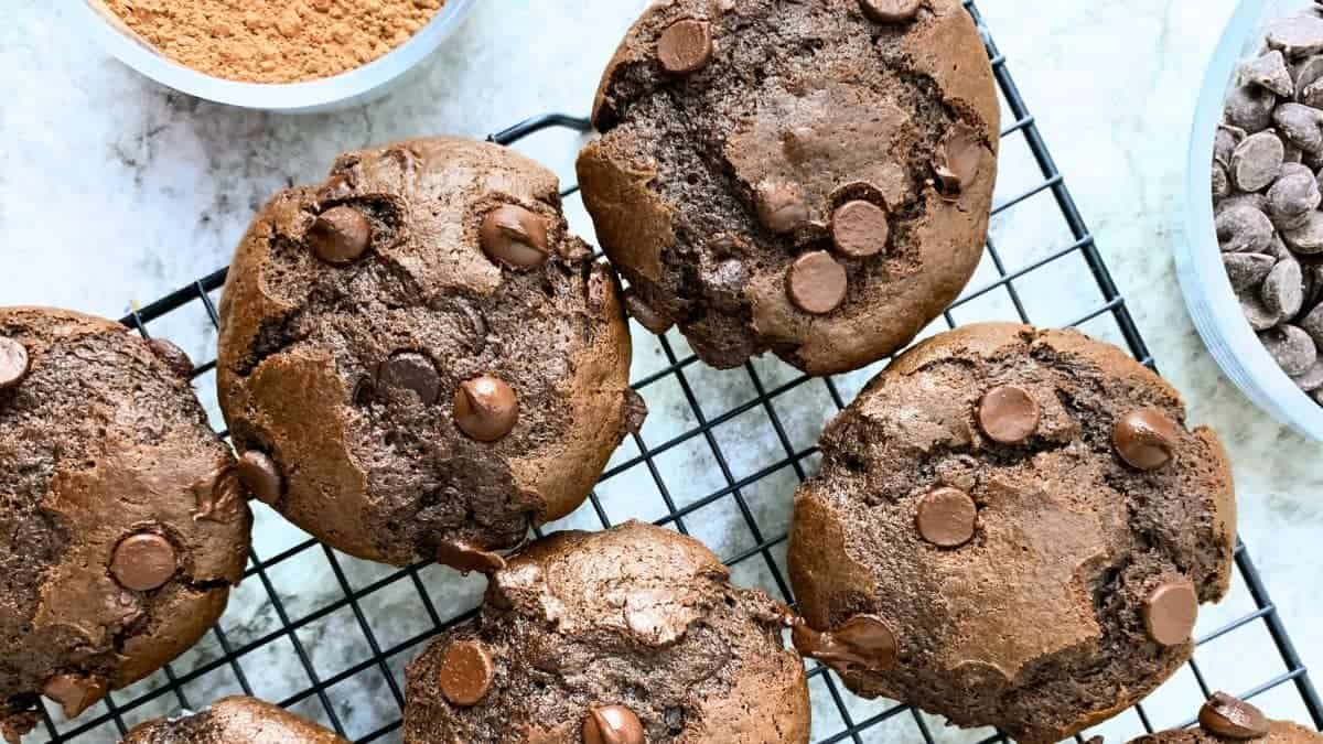 sourdough chocolate muffins
