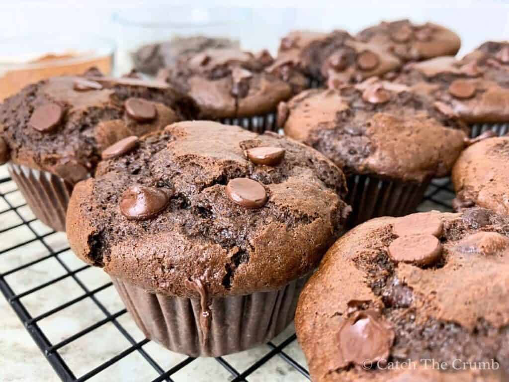 sourdough chocolate muffins