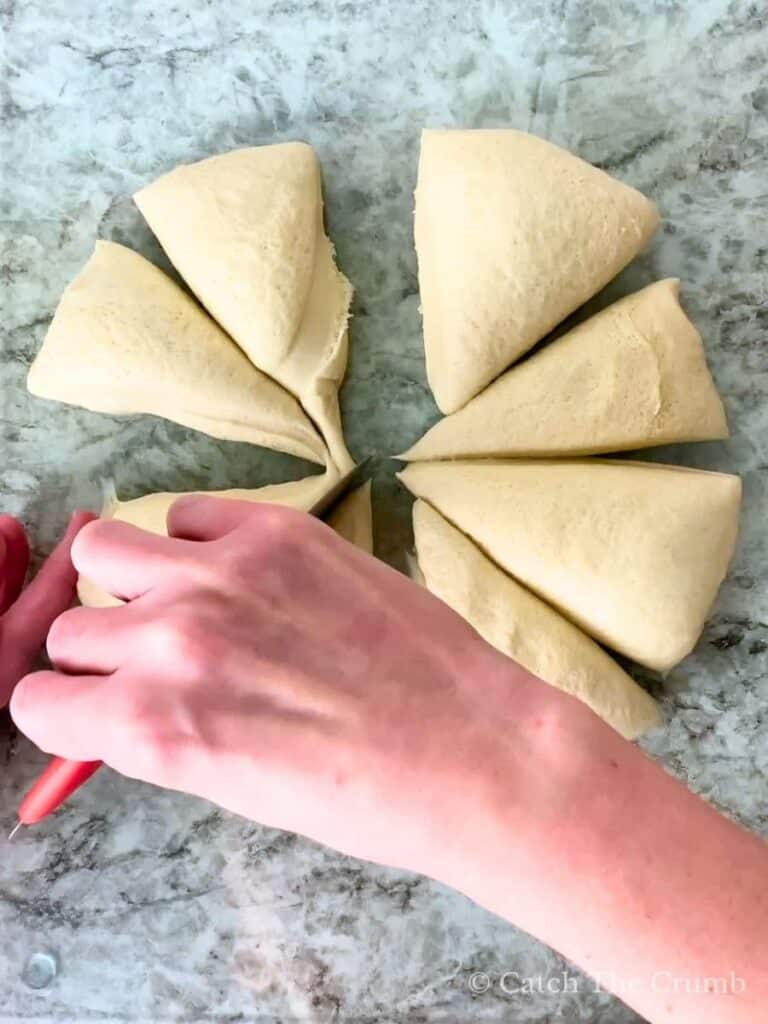 the dough ball cut into 8 equal pieces