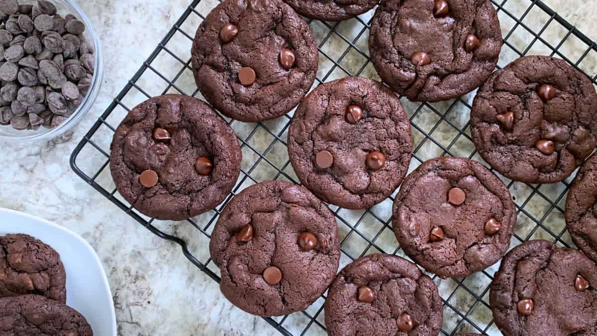sourdough chocolate cookies