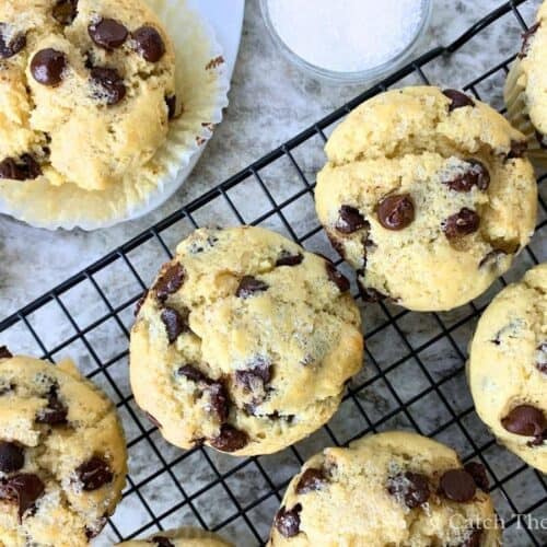 sourdough discard chocolate chip muffins