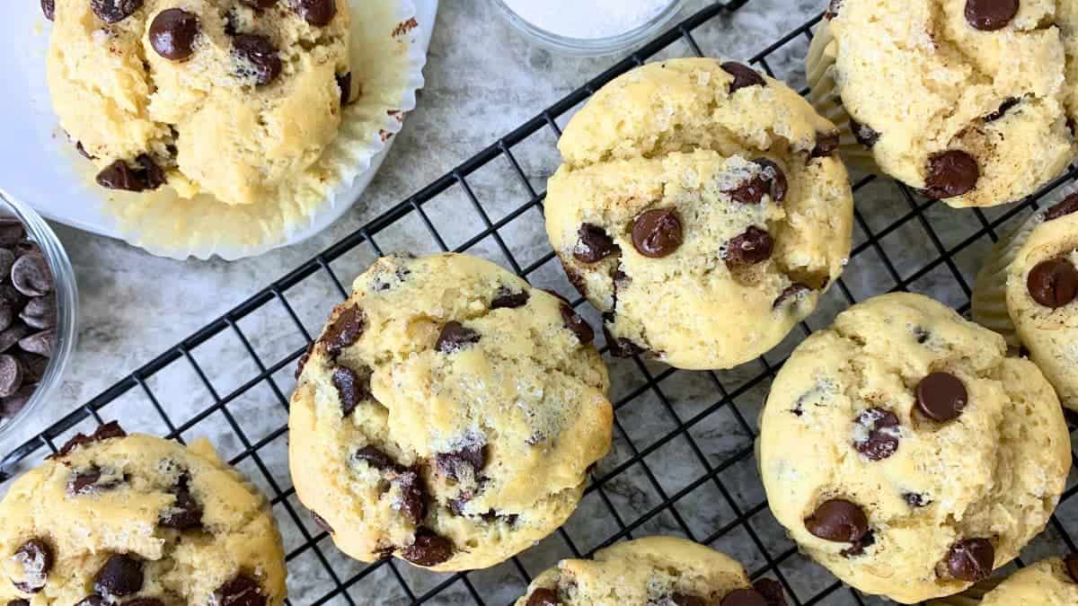 sourdough discard chocolate chip muffins